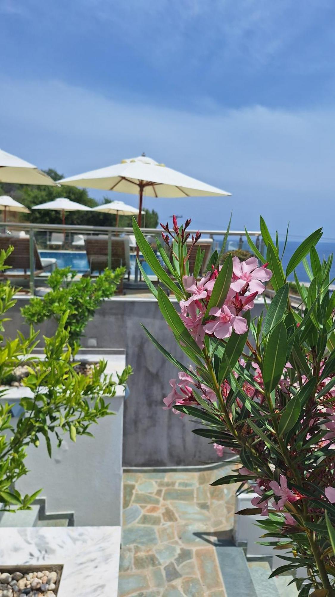 Sarti Thea Hotel ภายนอก รูปภาพ