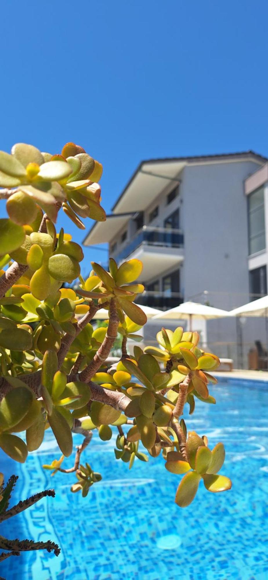 Sarti Thea Hotel ภายนอก รูปภาพ
